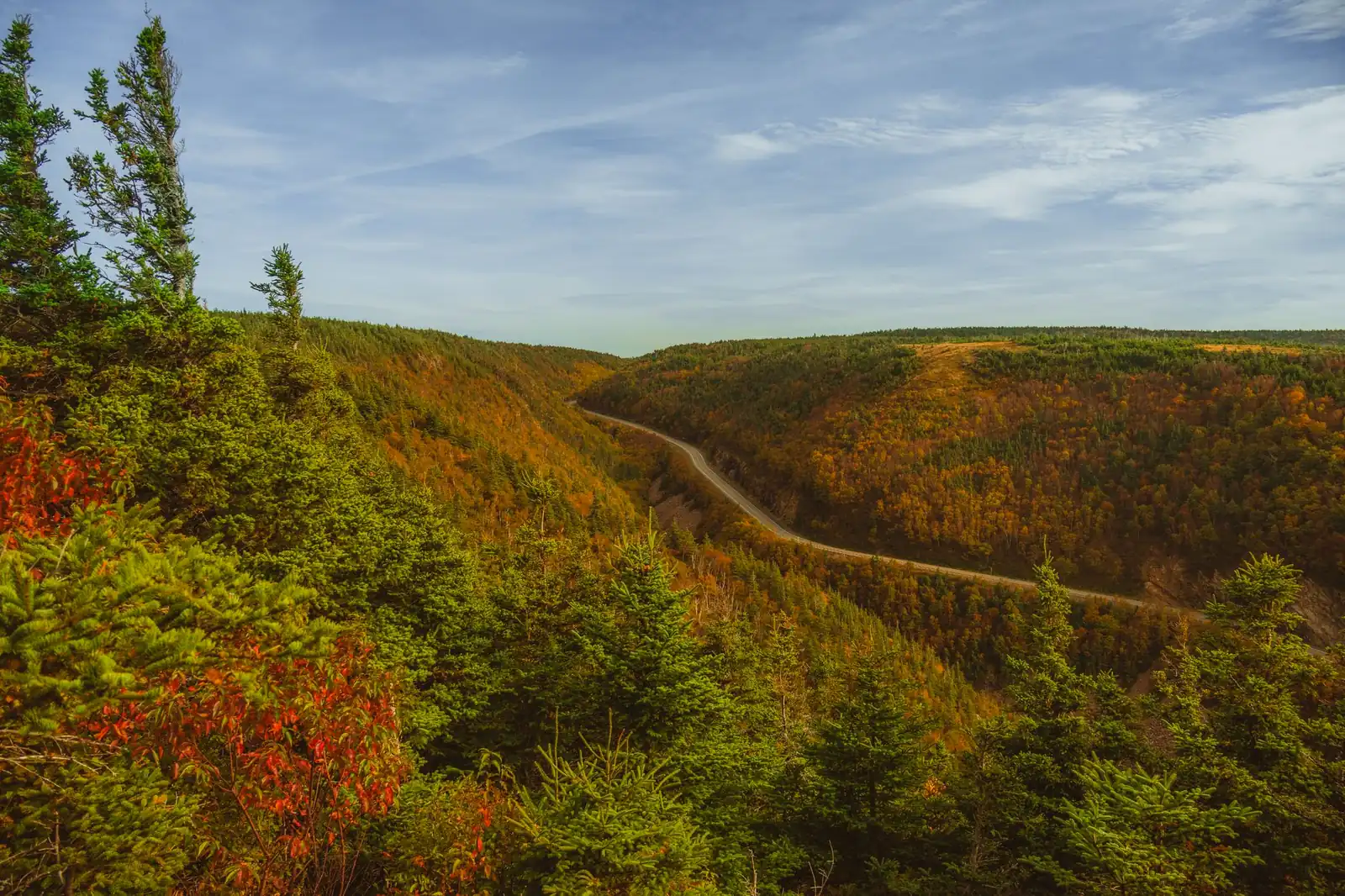 A road winding through fall foliage in the Cape Breton Highlands, orange and red hardwoods lining the valley