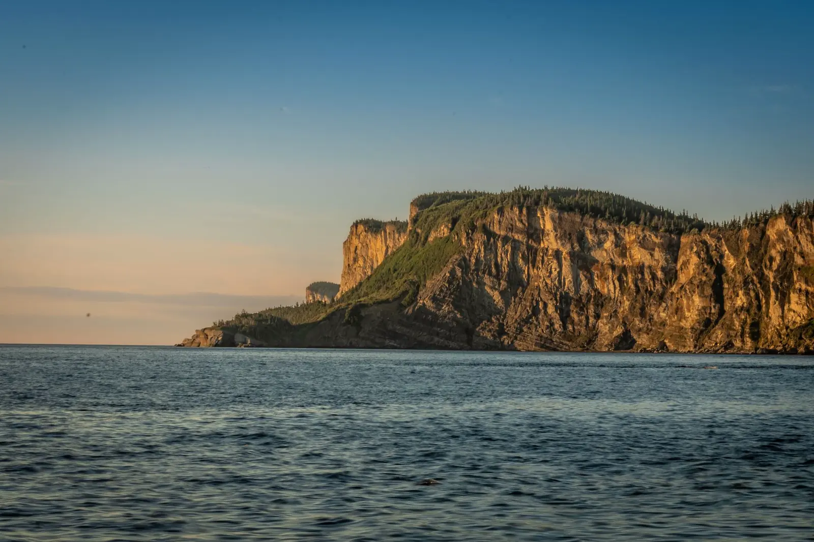 Golden evening light raking across Forillon National Park's coastal cliffs where they meet the Gulf of St. Lawrence
