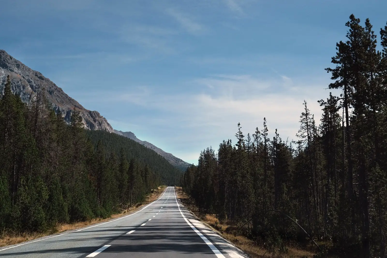 An empty two-lane highway running straight through a dense conifer forest toward a mountain range