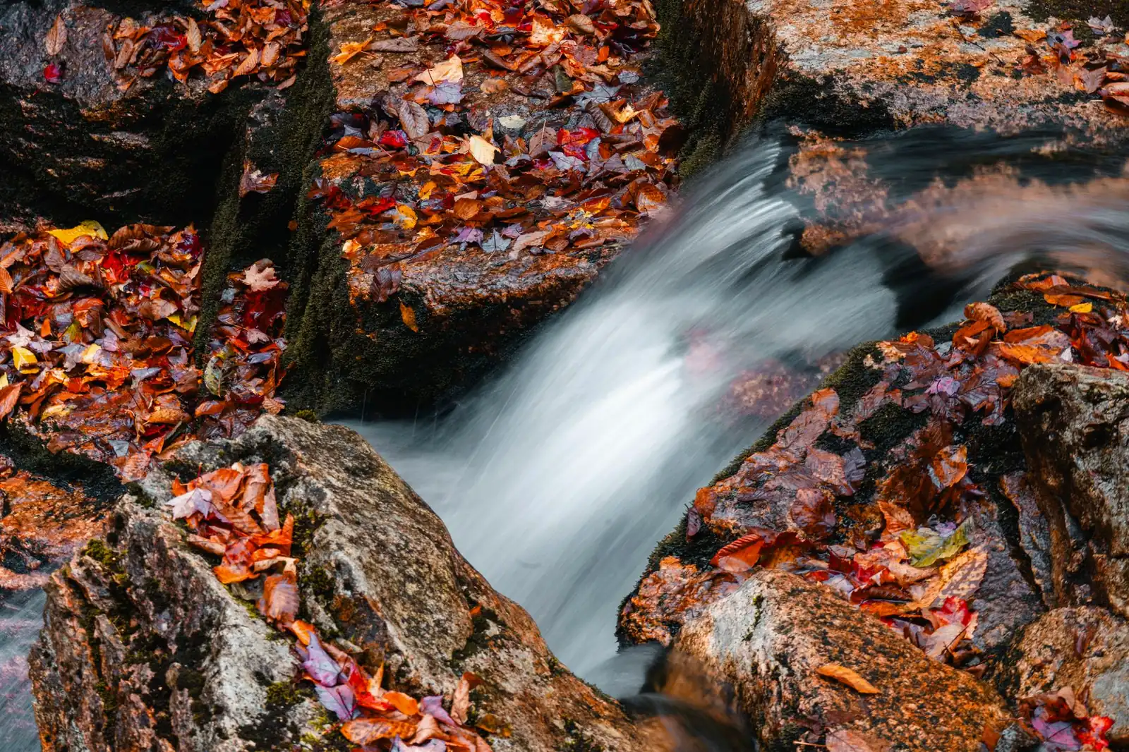 A small waterfall cascading over granite rocks covered in fallen autumn leaves in Lincoln, New Hampshire's Flume Gorge