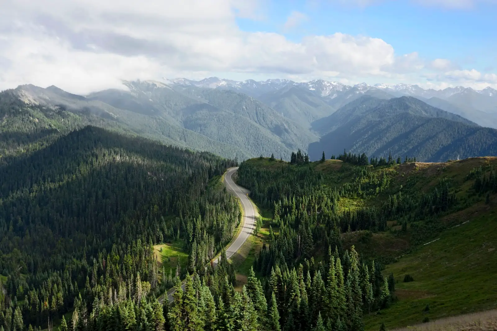 A paved road winding through a subalpine meadow toward snow-capped peaks in Olympic National Park