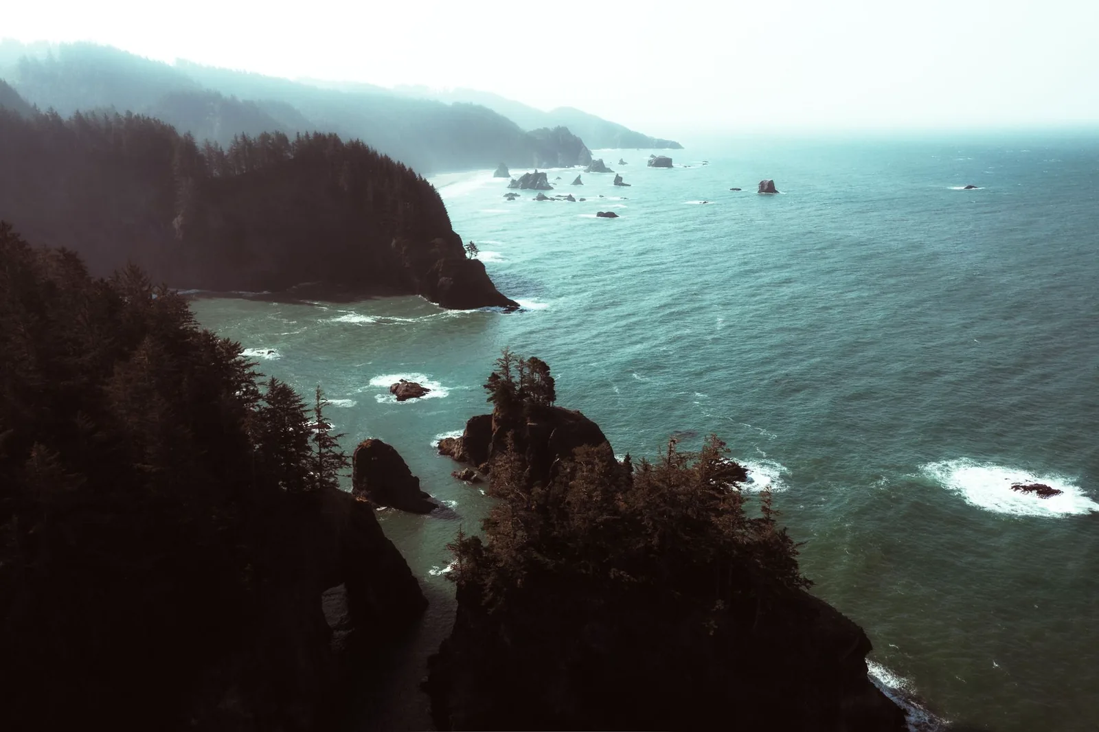 Sea stacks and misty forested headlands stretching down the southern Oregon coast, seen from above