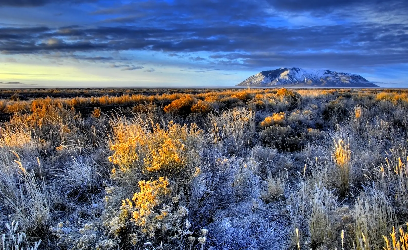 Frosted high-desert sagebrush and a snow-dusted butte at dawn along US Route 20 in Idaho